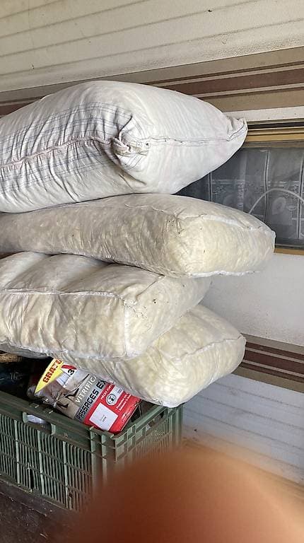 Mousse de coussin à donner