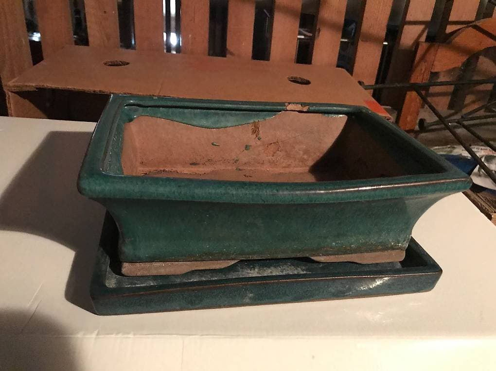 1Bonsaitopf 1 Blumentopf