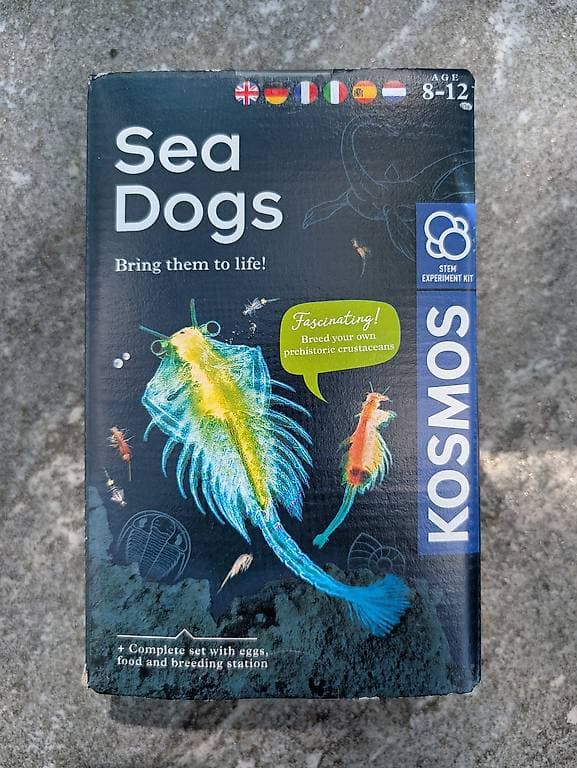 Kosmos Sea Dogs