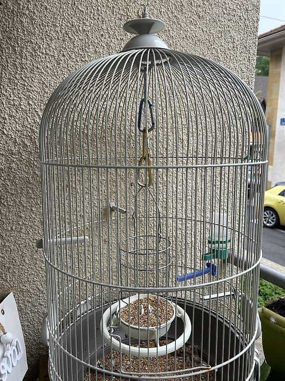 Cage pour petit oiseau