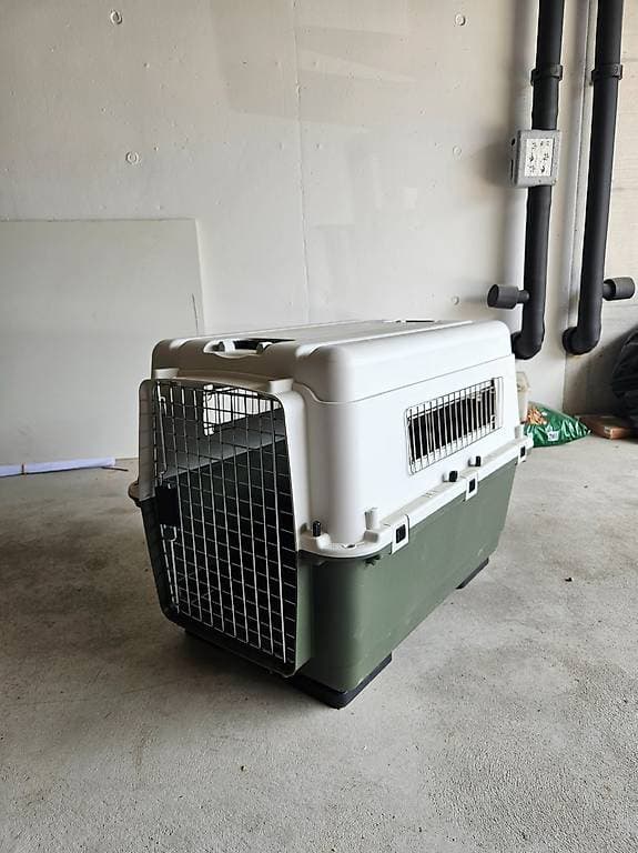 Hundebox