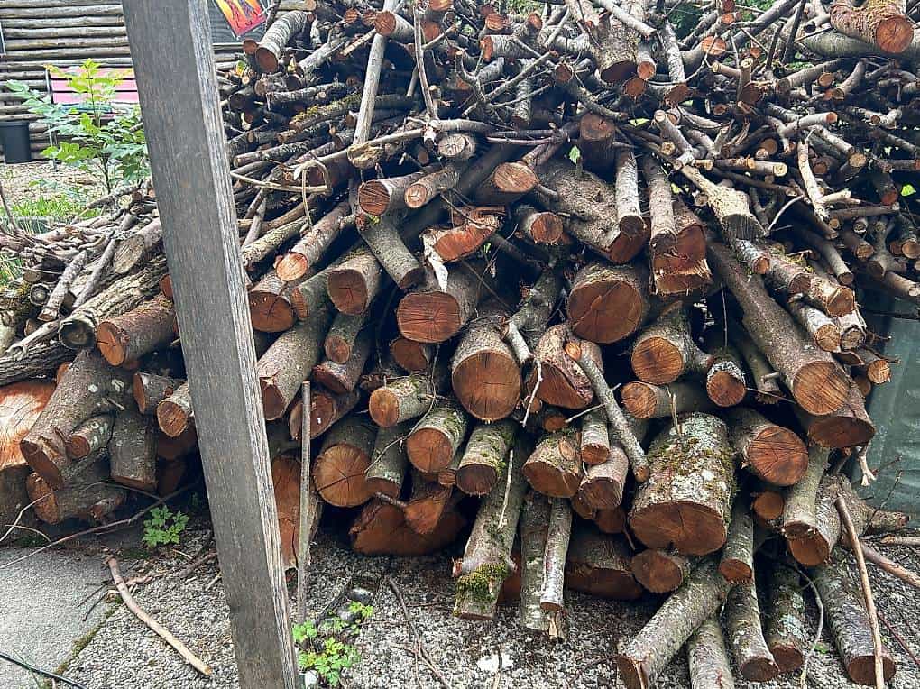 à donner bois de chauffage à prendre sur place gratuit