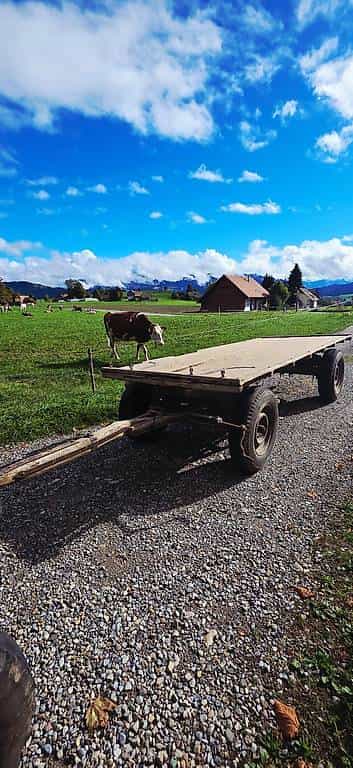 Alte Holzwagen