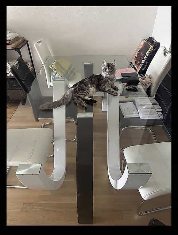 Table à manger est chaise