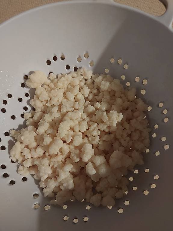 Grains de Kéfir de lait à donner