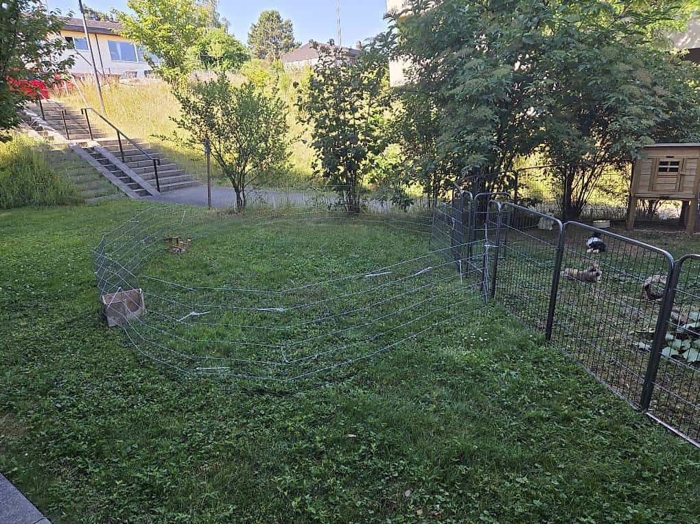 Freilaufgehege kaninchen und Meerschweinchen