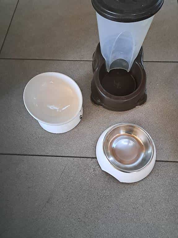 Divers bols à chat