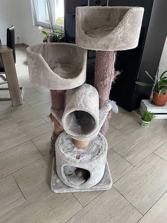 Katzenbaum