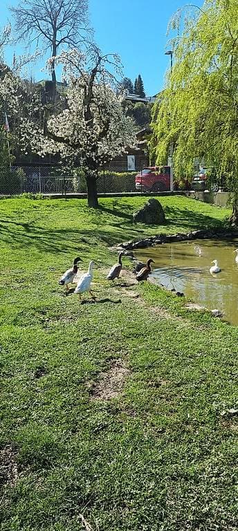 5 mâles coureurs indiens à donner