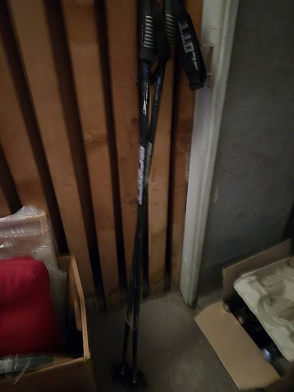 Bâton ski
