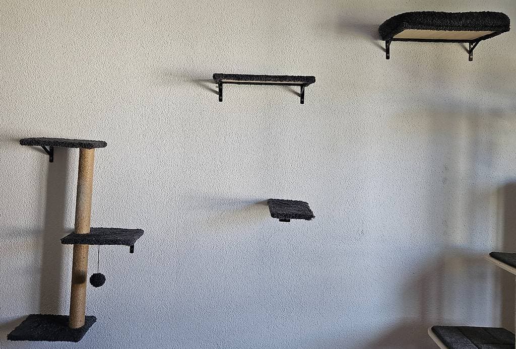 Kletterwand Katzen / Catwalk