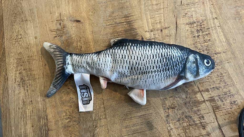 Magic Fish Spielzeug