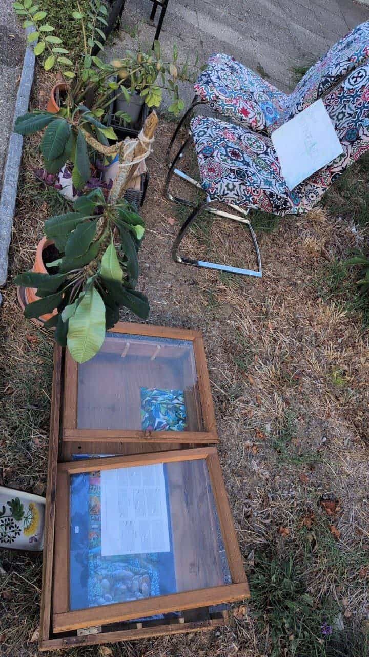 Pflanzen und Gartenartikel