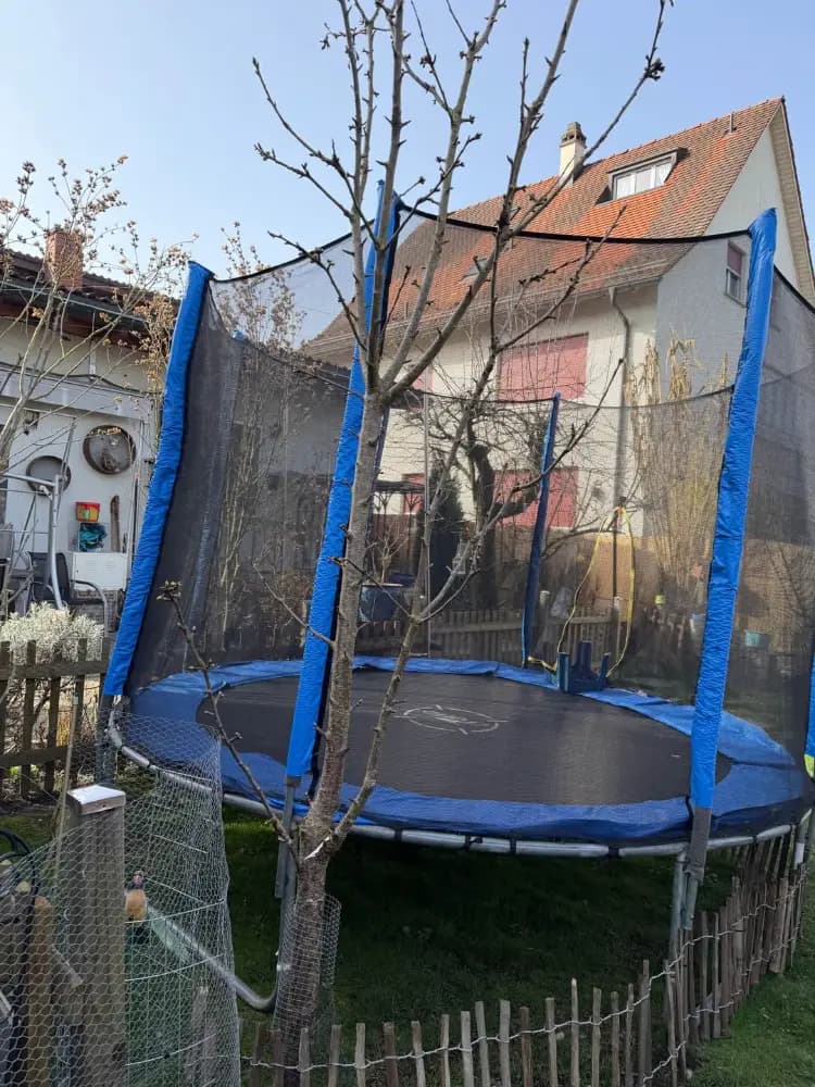 Kirschbaum