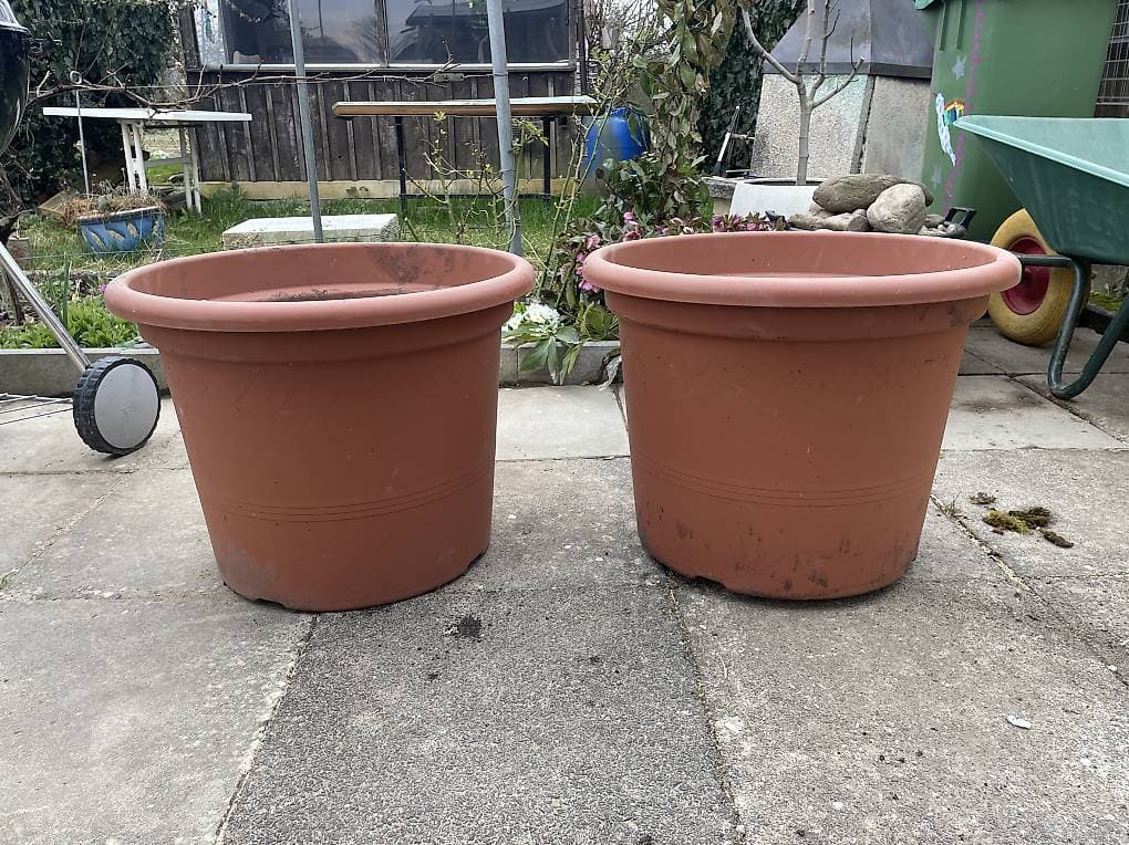 Blumentopf XXL 77Liter