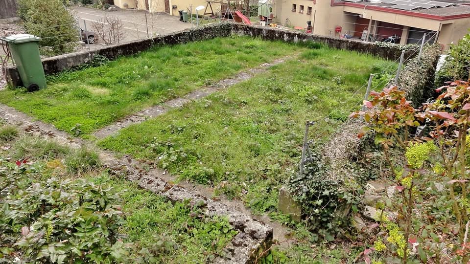 Gratis zur Bewirtschaftung Grünfläche für Gemüse oder Blumengarten