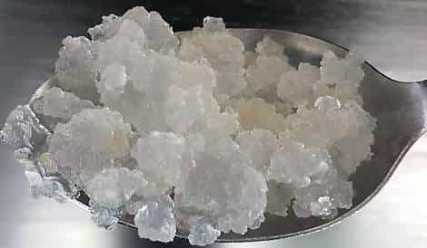 Graines de kéfir