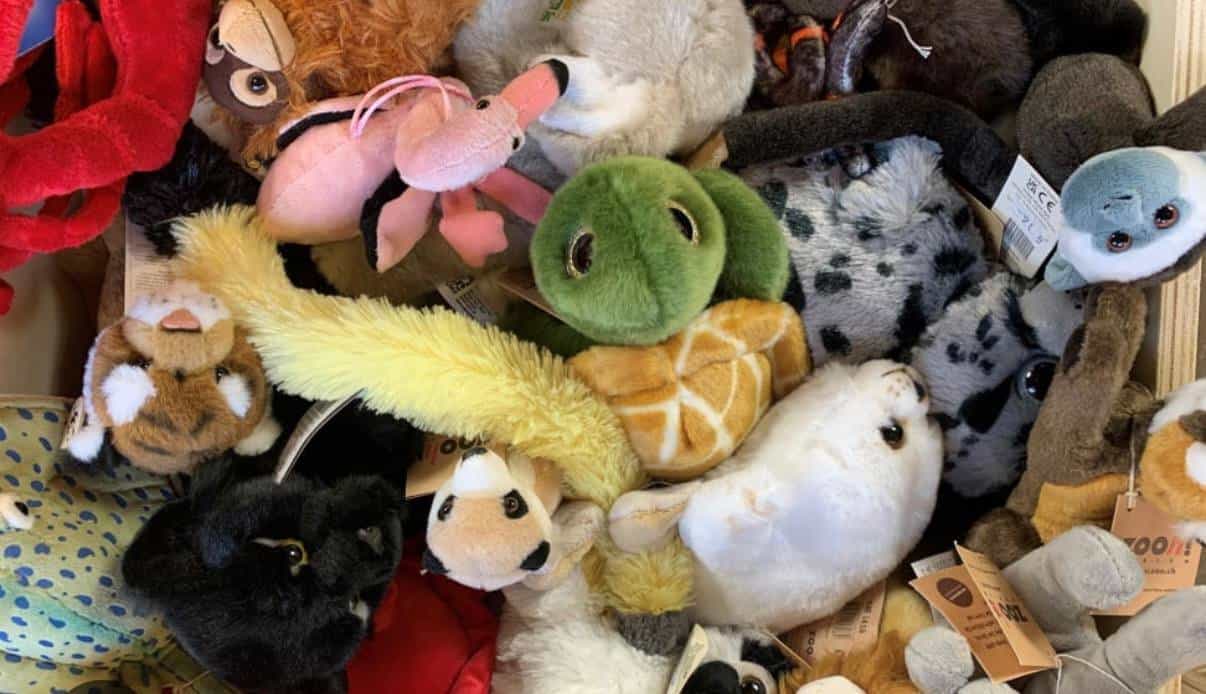 Plüschtiere gesammelt zu verschenken