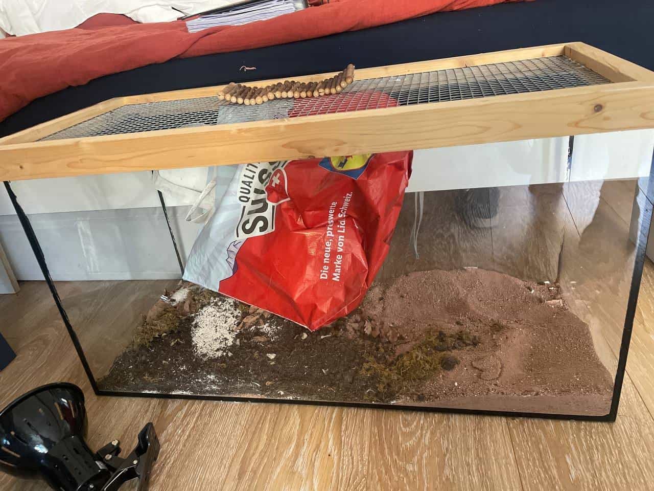 Terrarium mit Streu