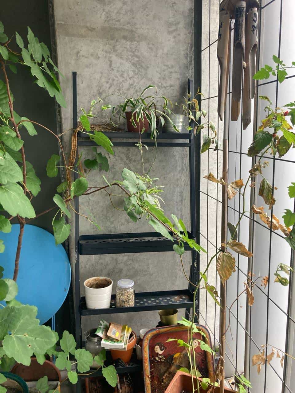 Pflanzentopfgestell