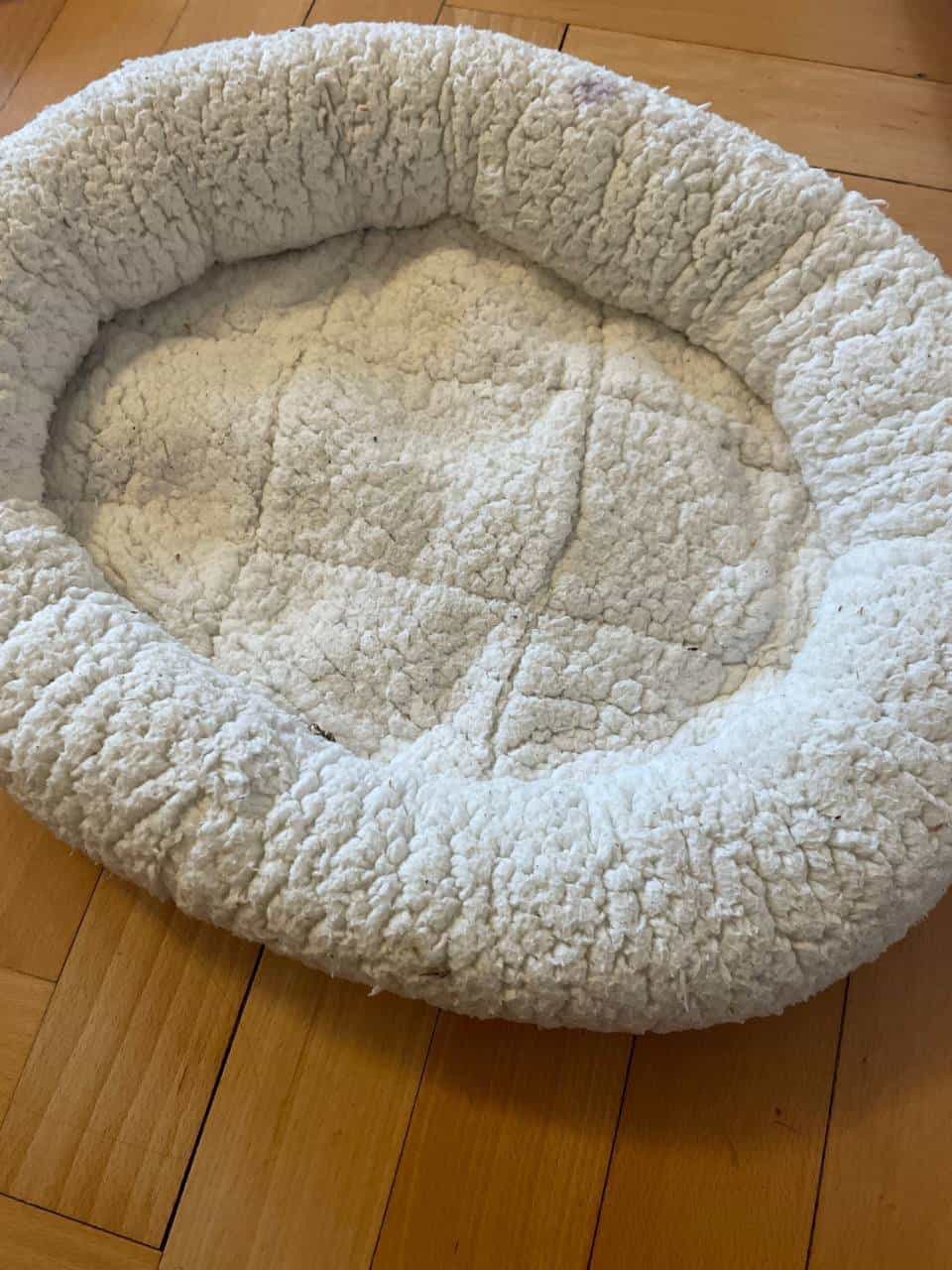 Katzenbett Creme