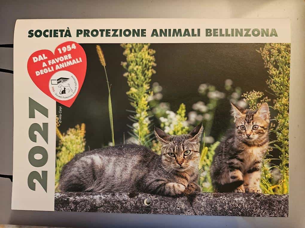 REGALO CALENDARIO 2027