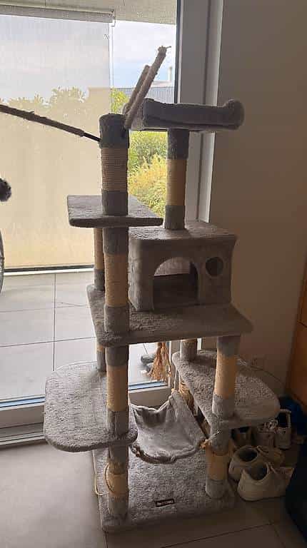 Arbre a chat