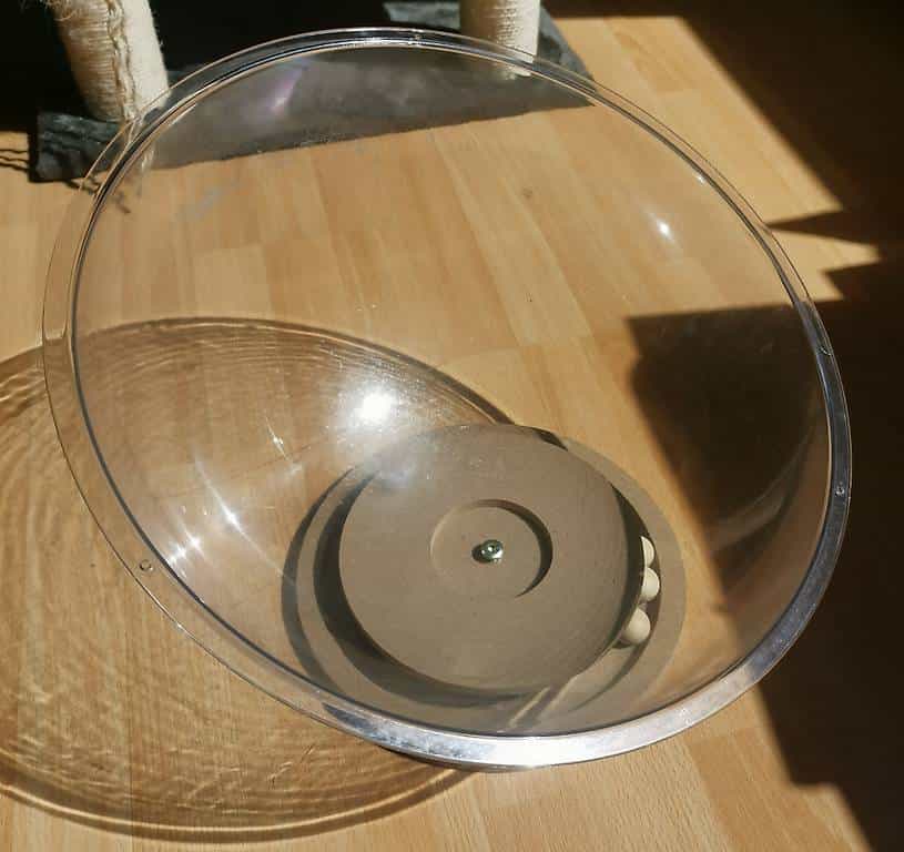 Katzennest + Spiel