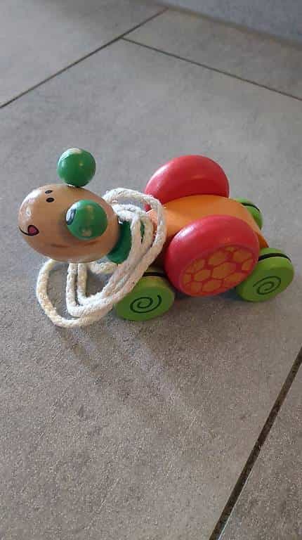 Schildkröte zum ziehen