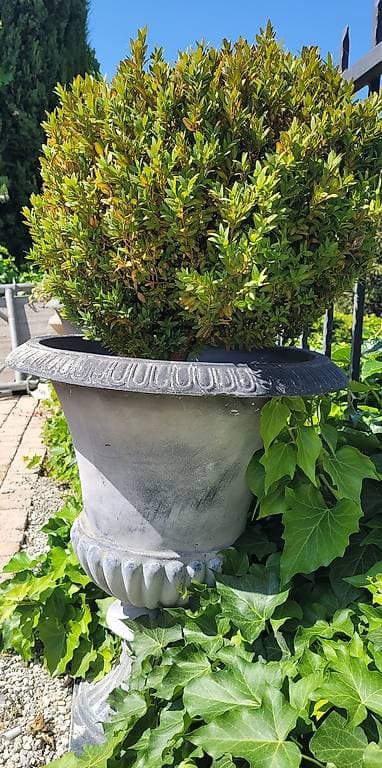 GRATUIT pots de fleur
