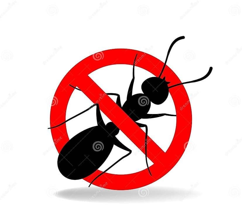 Pour vos problèmes de fourmis et autres