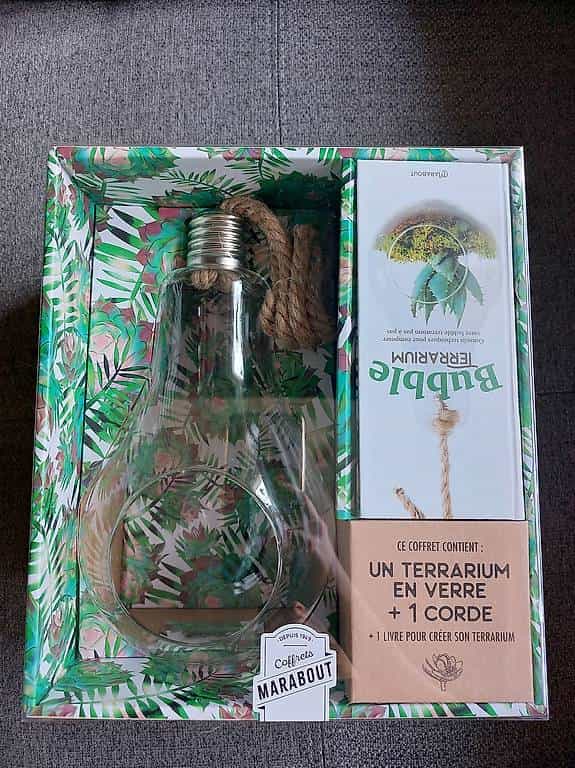 Kit terrarium à donner