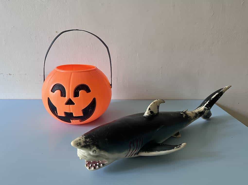 Halloween & Requin