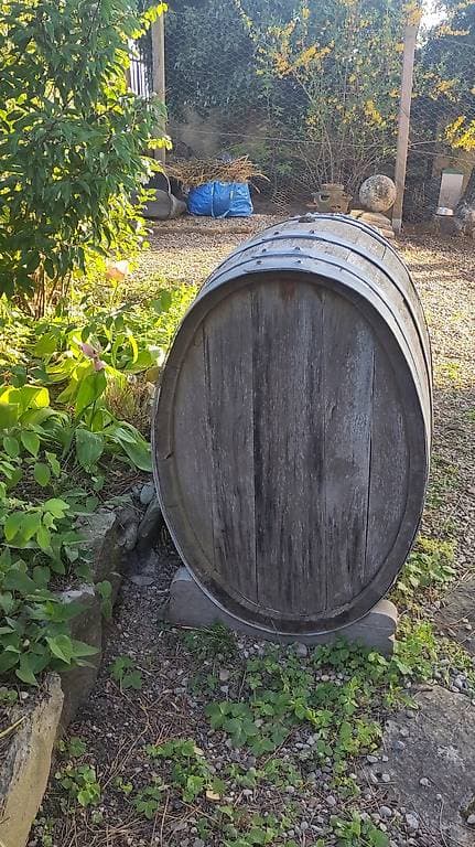 Anciens tonneaux