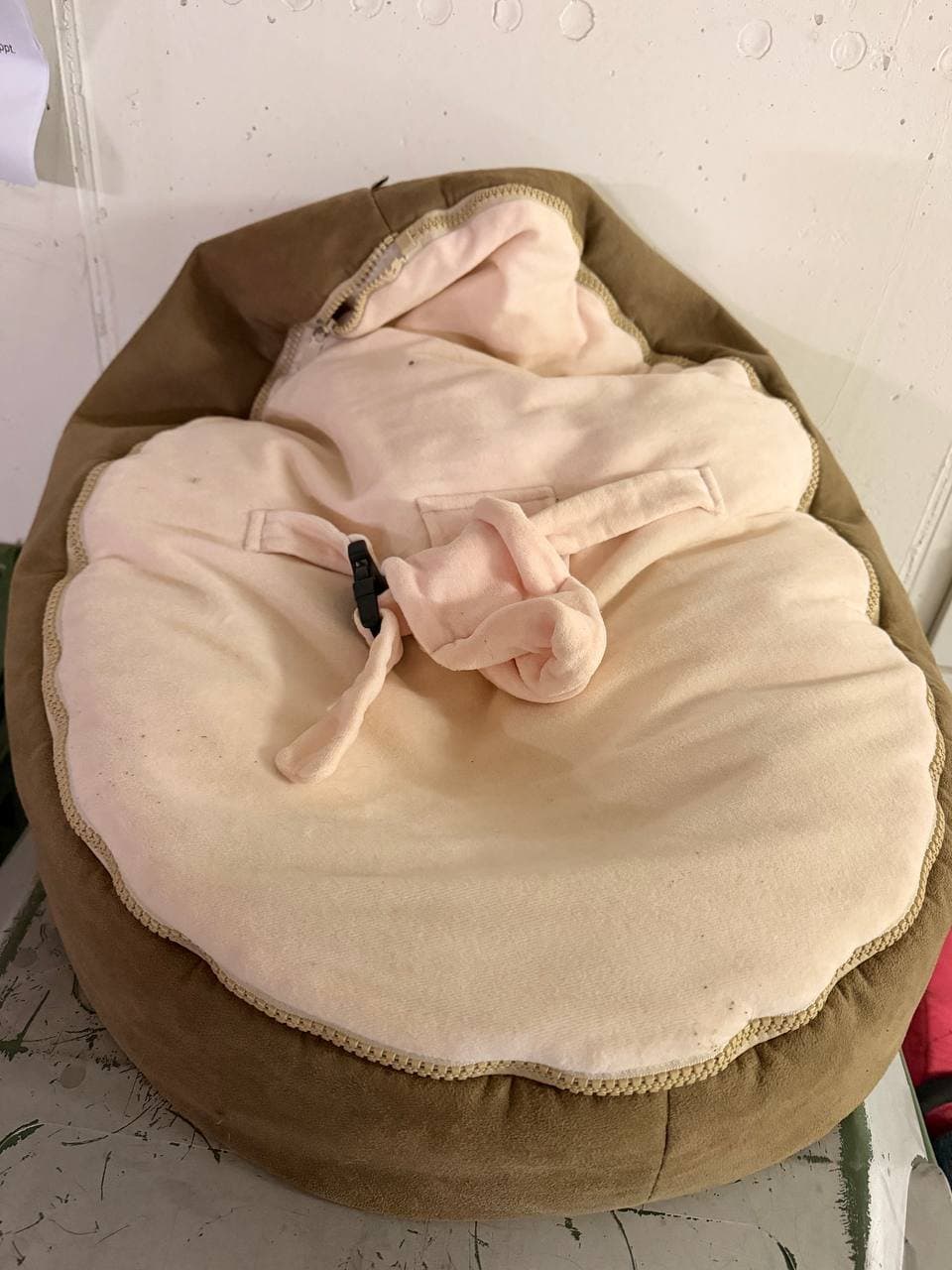 Domoo Seat n Grow Kindersitz