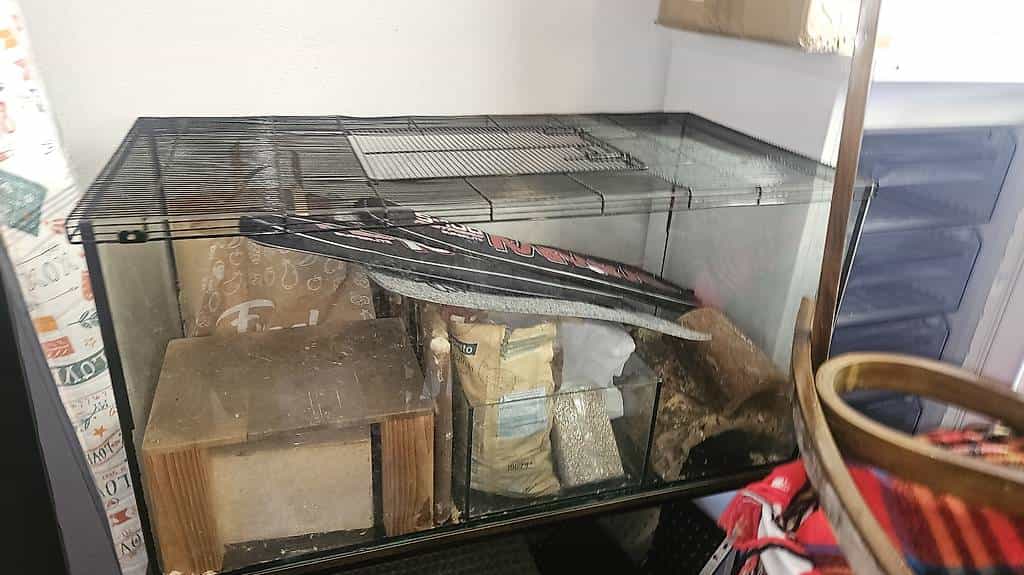 Glasterrarium zu verschenken