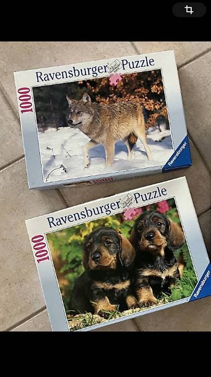 Puzzle Ravensburger 1000 pièces