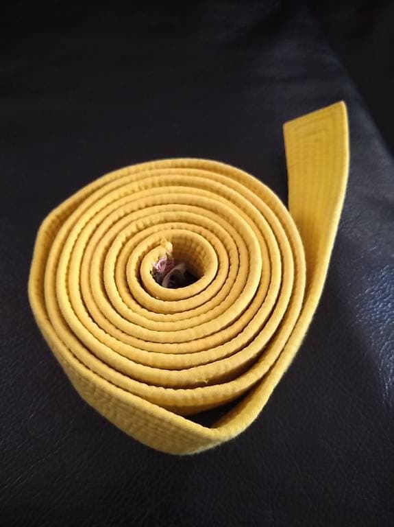 Ceinture jaune 260 cm