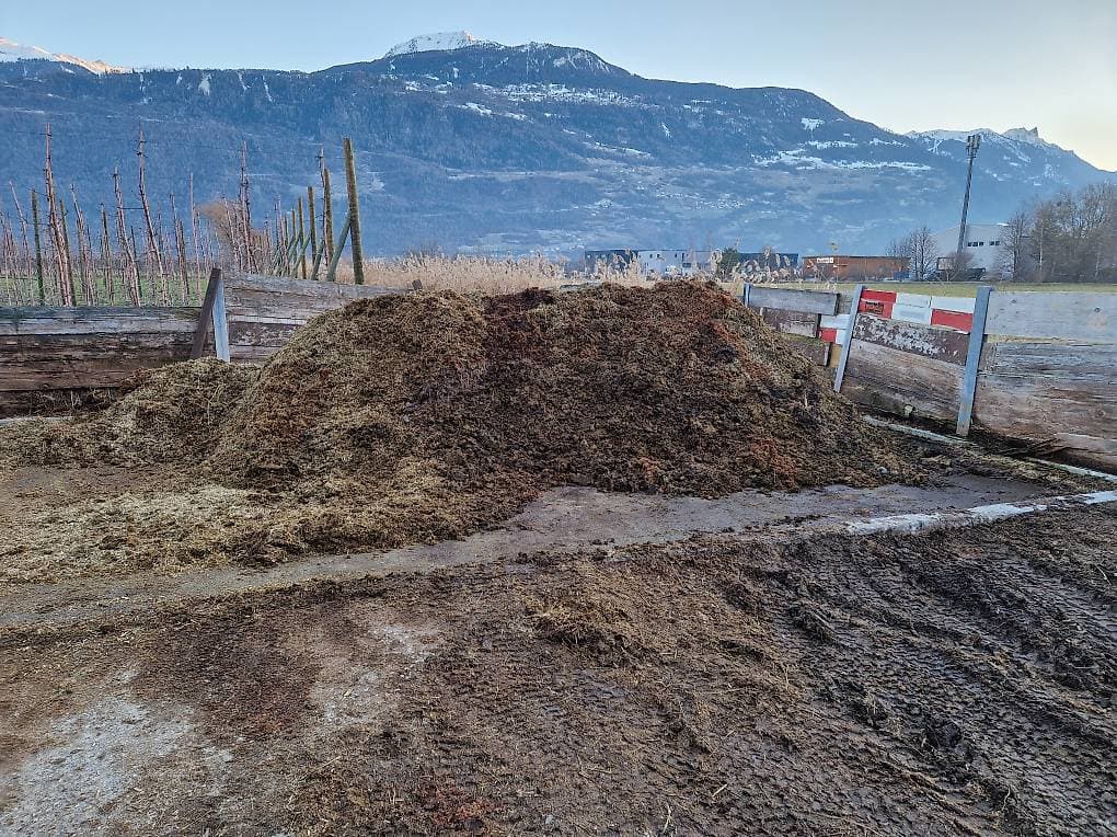 Fumier de cheval pour jardin