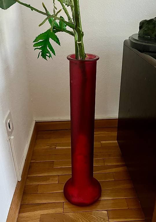 2 Glas-Vasen / 2 vasi da fiori in vetro