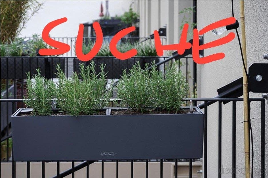 Pflanzenkübel mit Sukkulenten