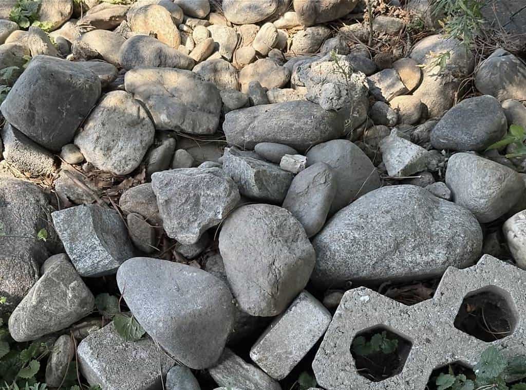 Regalo sassi