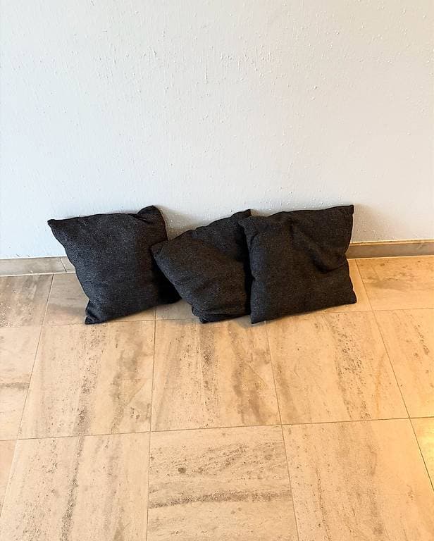 A donner 3 coussins noirs en bon état 40x40cm