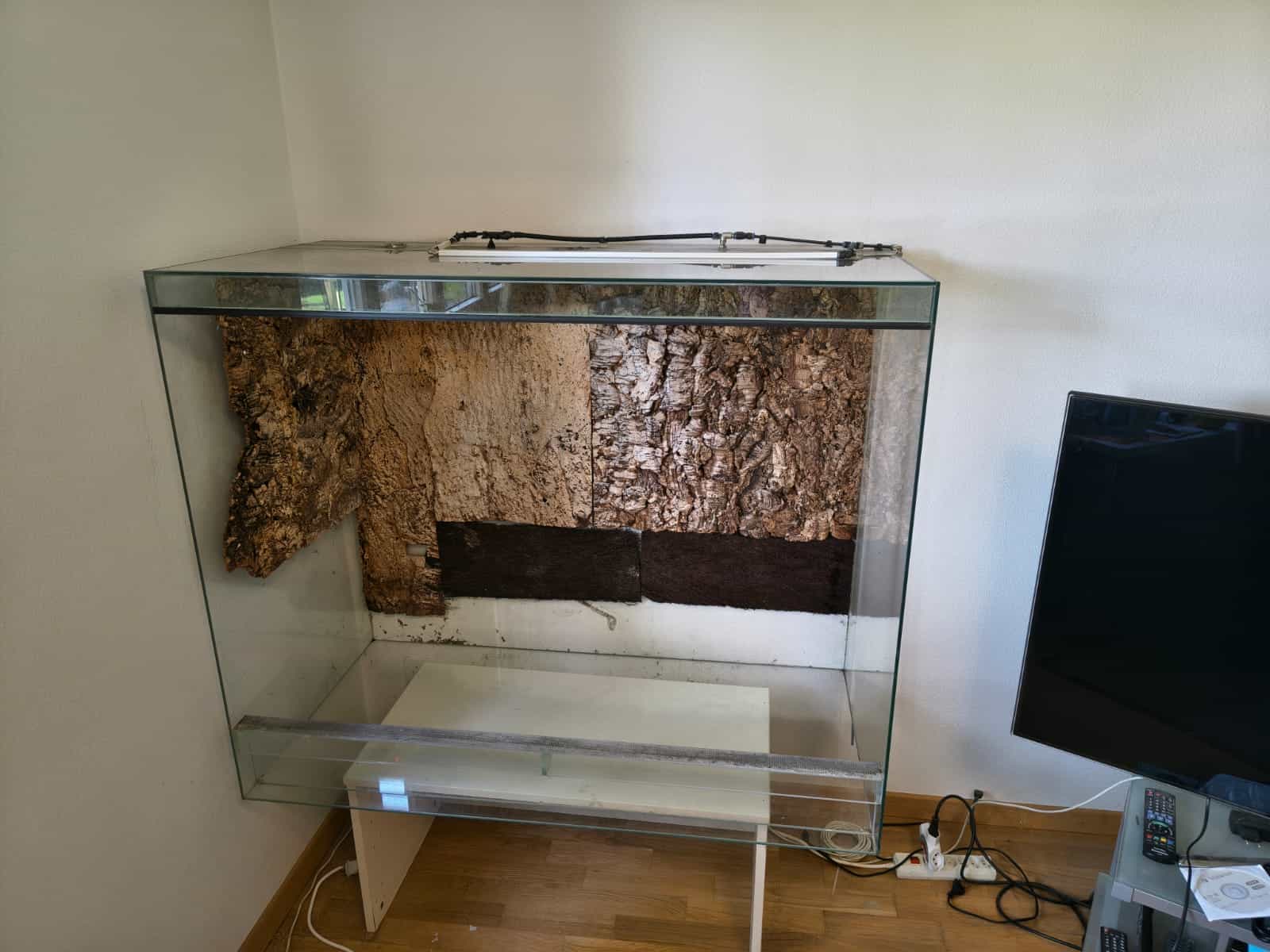 Terrarium Glas mit Korkrückwand, aus ehemaliger Geckohaltung 120×60×100 für 50.- ab sofort
