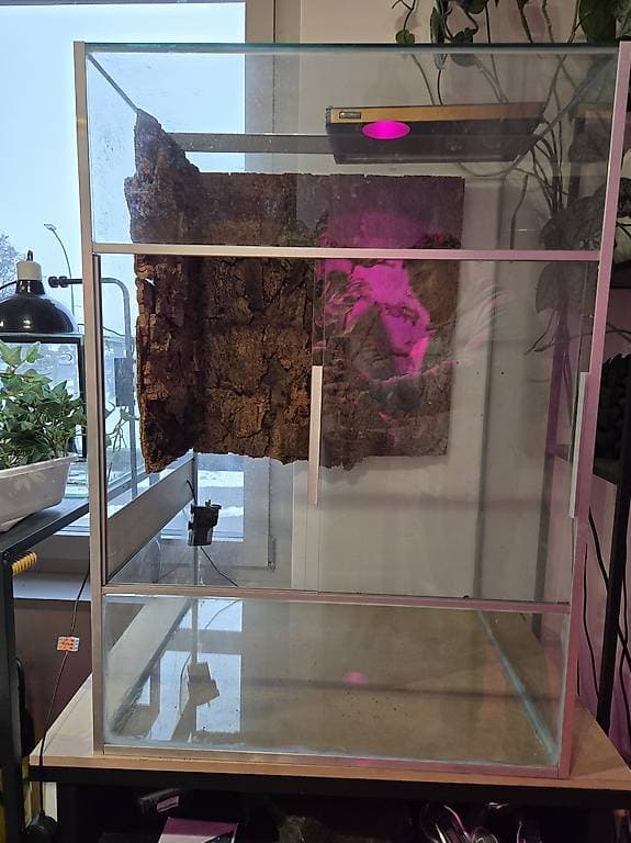 Glasterrarium 70x55x100(lxbxh)