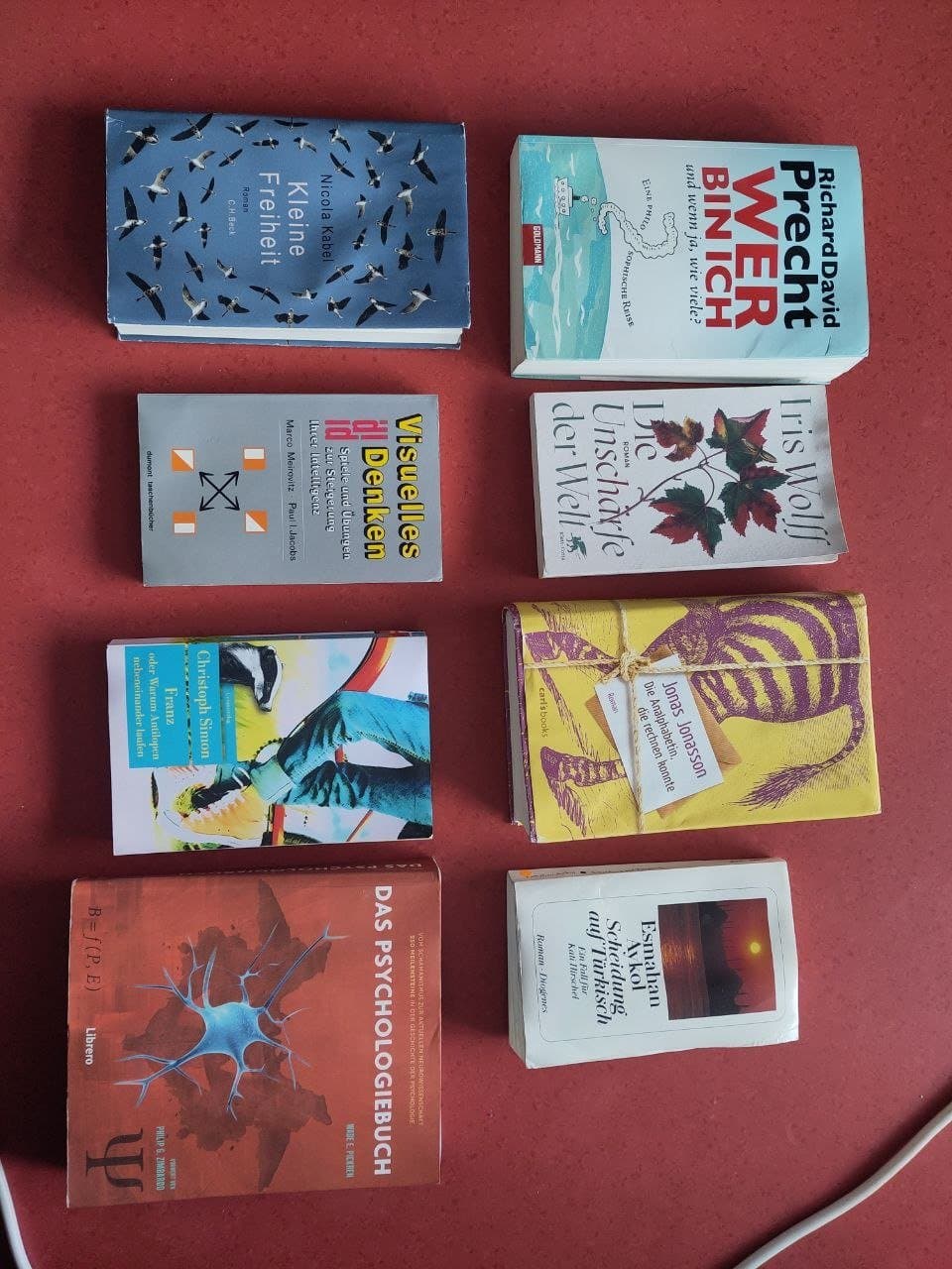 Duschbrause mit Schlauch