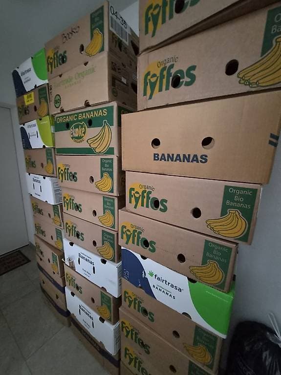 Carton bananes