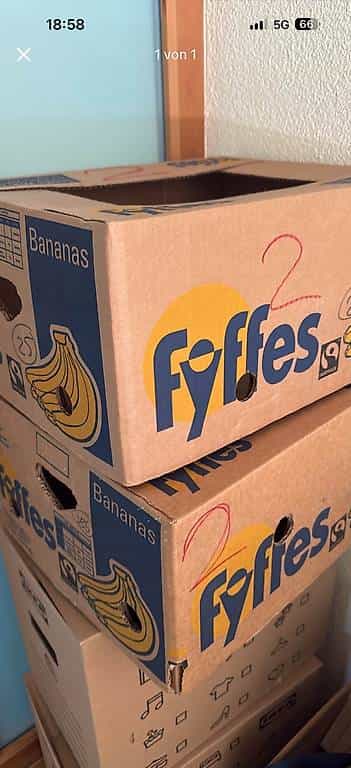 15 Stück Zügelkisten Bananenkisten