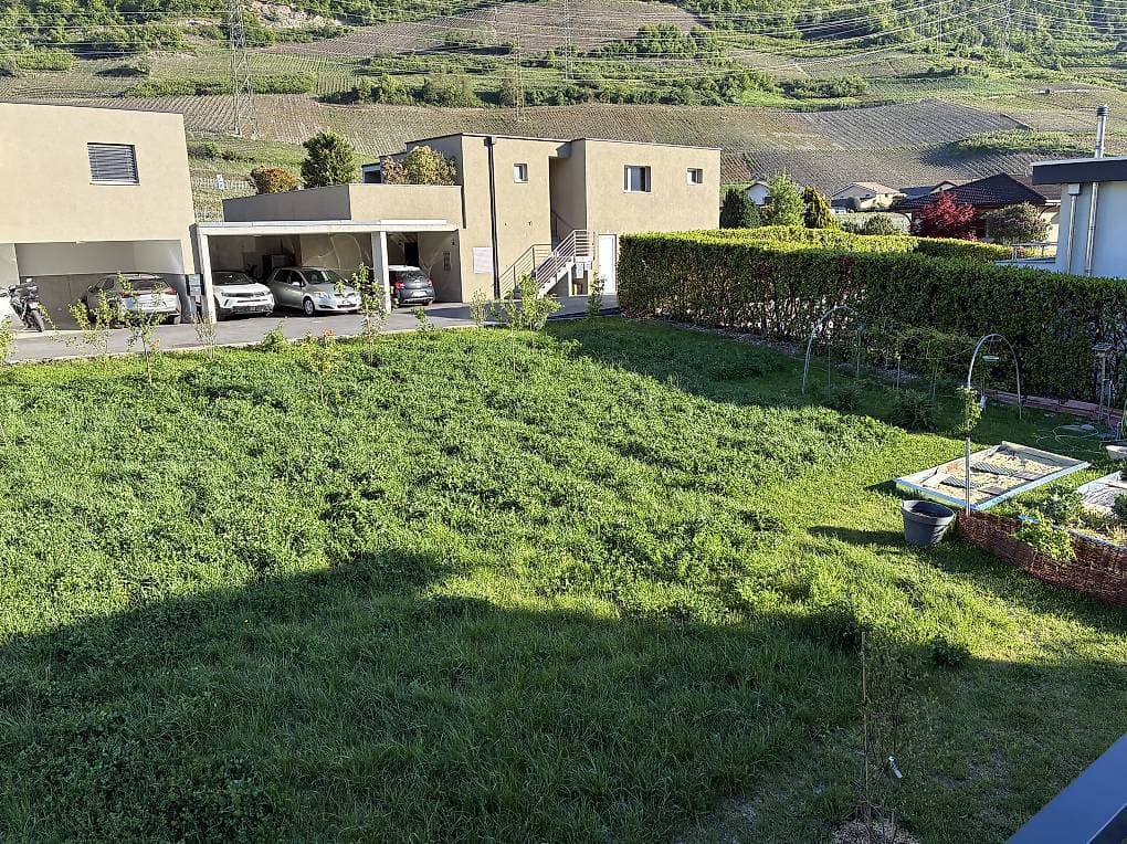 Pré pour moutons ou chèvres