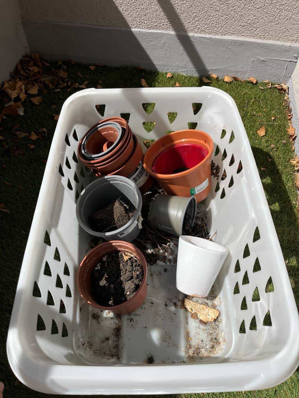 Pots de plantes à donner